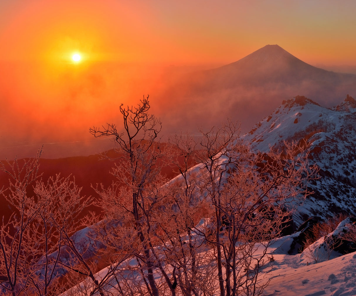 Winter-Light Poster och Canvastavla