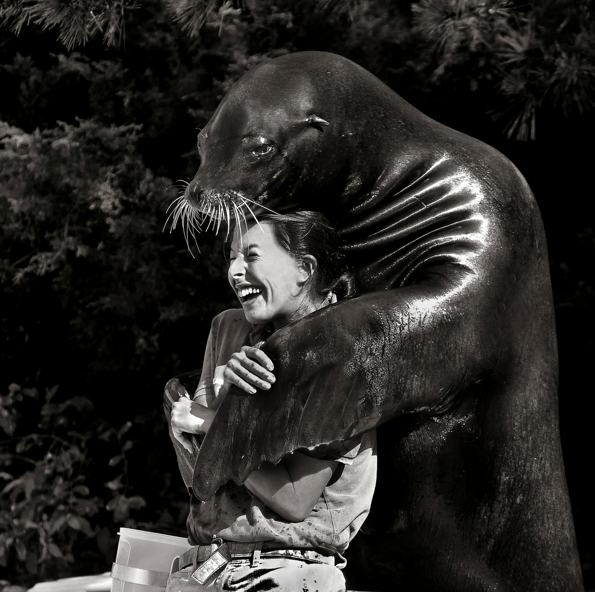 Gimme a Hug Poster och Canvastavla