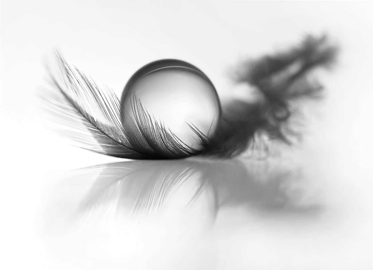 Lightness Poster och Canvastavla
