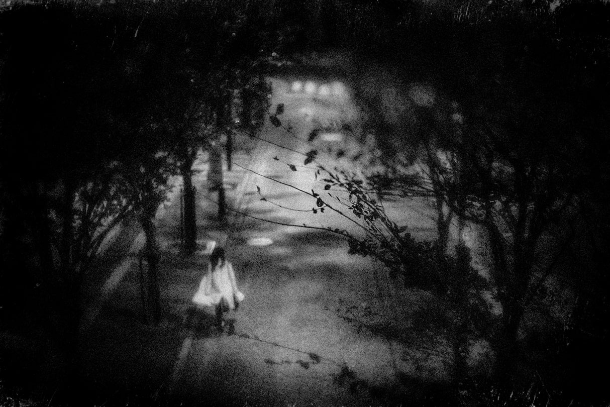 alone Poster och Canvastavla