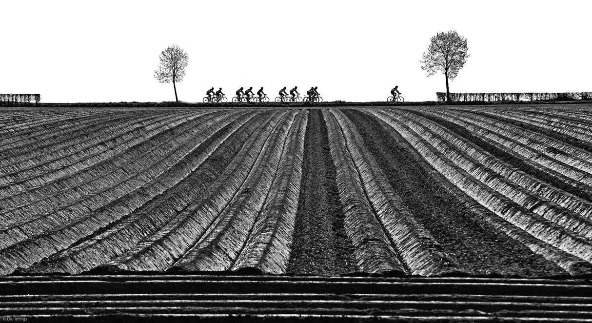 Rolling fields, rolling wheels Poster och Canvastavla