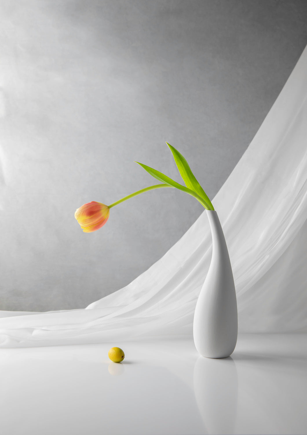 Simplicity Poster och Canvastavla
