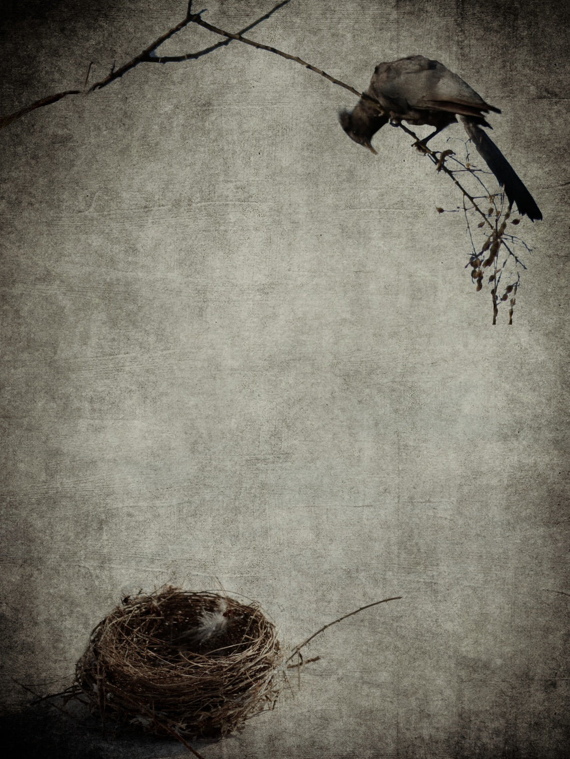 Empty Nest Syndrome Poster och Canvastavla