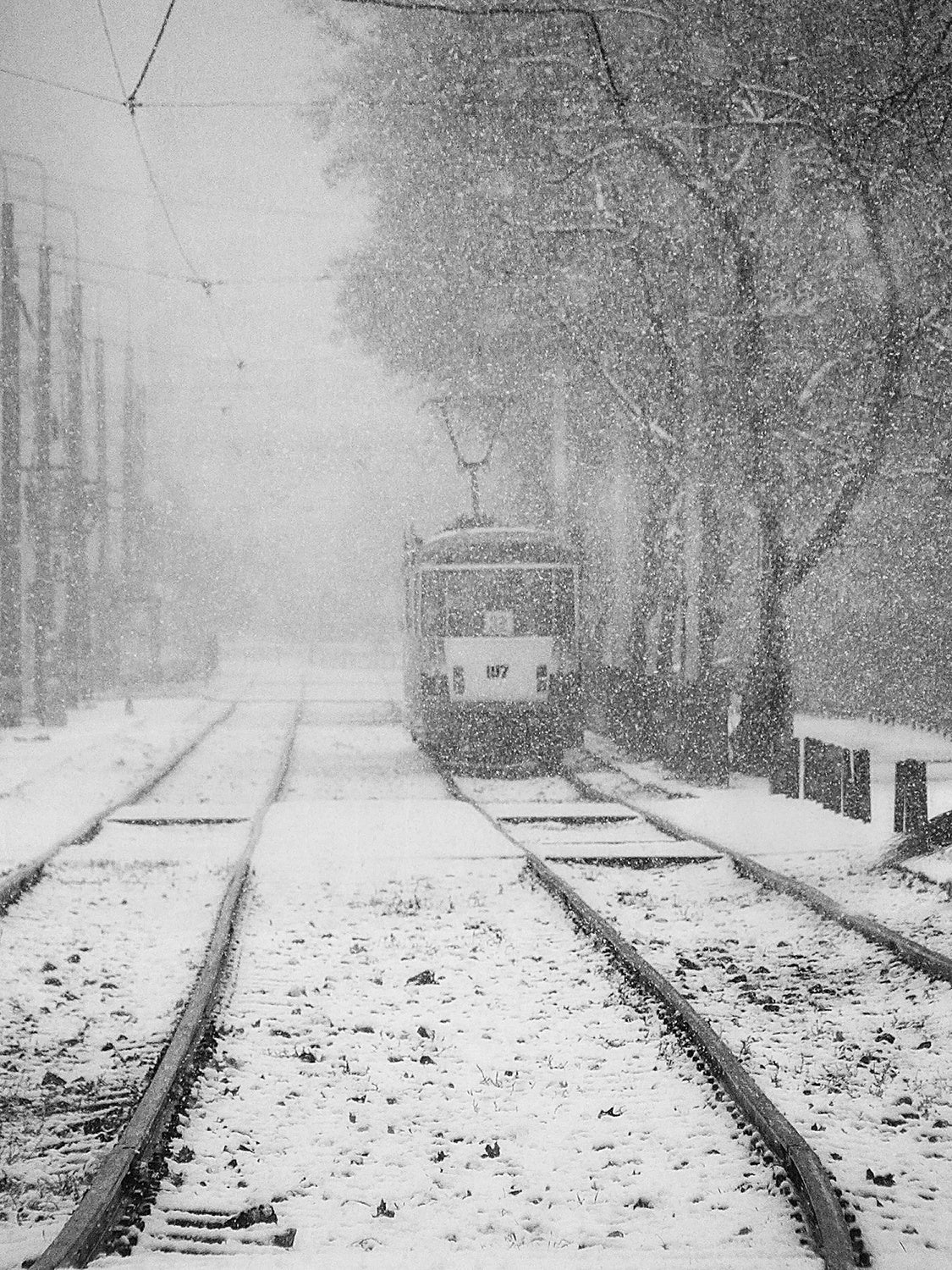 winter passengers Poster och Canvastavla