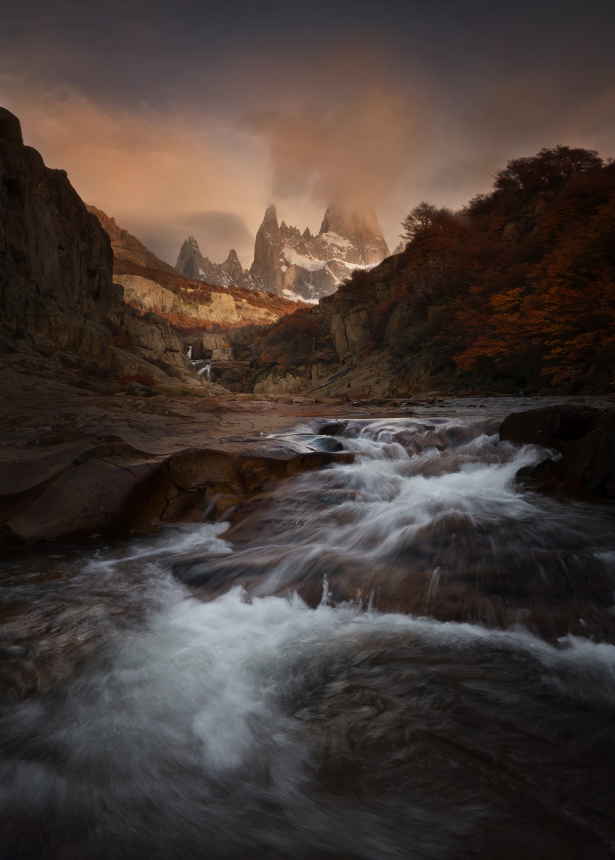 Valley view of Fitz Roy Poster och Canvastavla