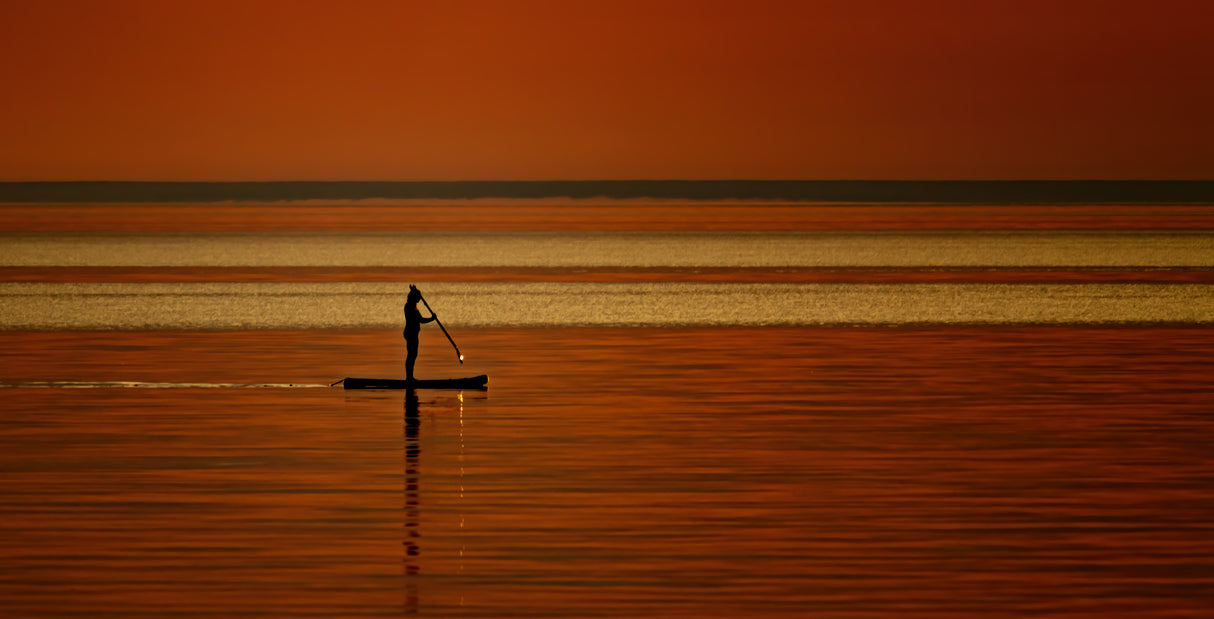 Sunlight Paddle Poster och Canvastavla