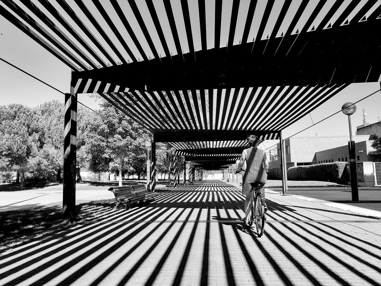 Between lines II Poster och Canvastavla