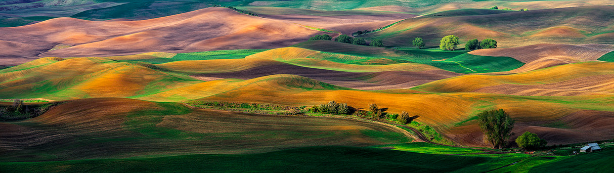 The Palouse Poster och Canvastavla
