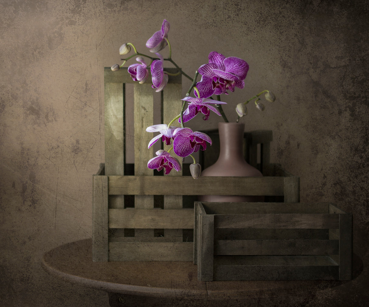 The beauty of the orchid Poster och Canvastavla