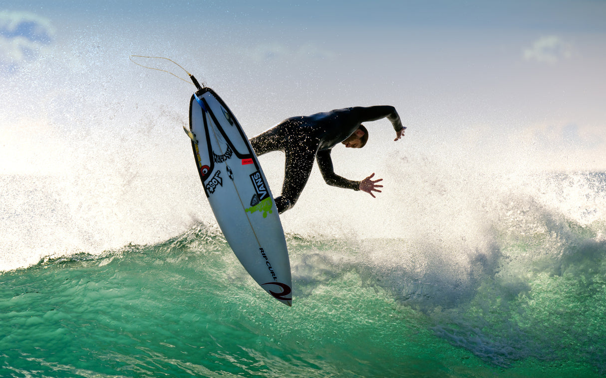 Fly on the wave Poster och Canvastavla
