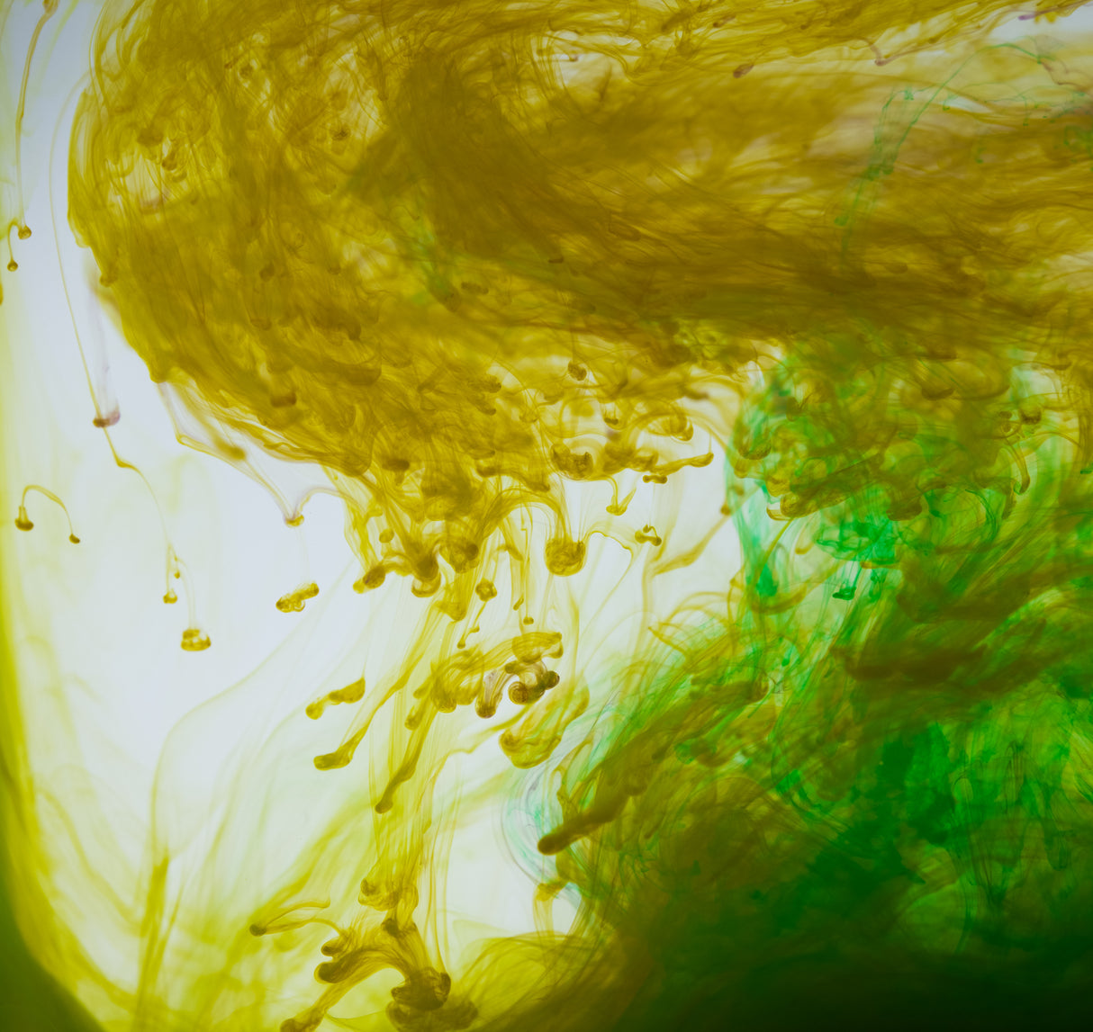 Acrylic colors and ink in water Poster och Canvastavla