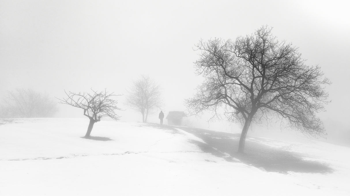 A melancholy foggy day. Poster och Canvastavla