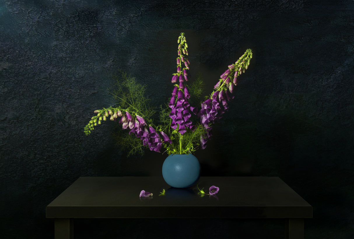 Still Life 2325 Poster och Canvastavla