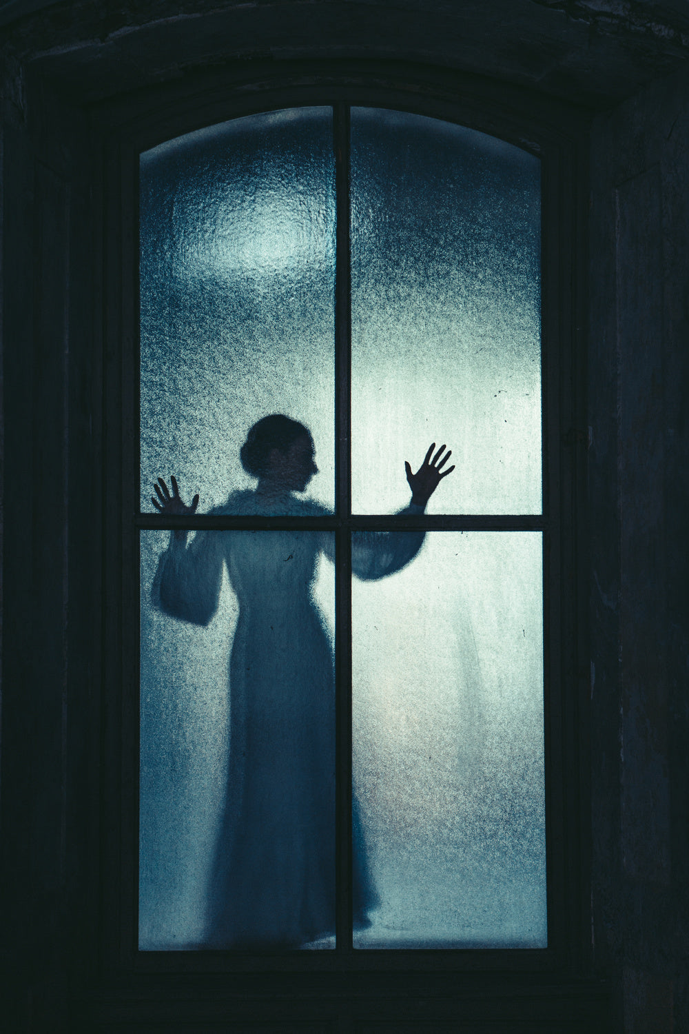 The window Poster och Canvastavla