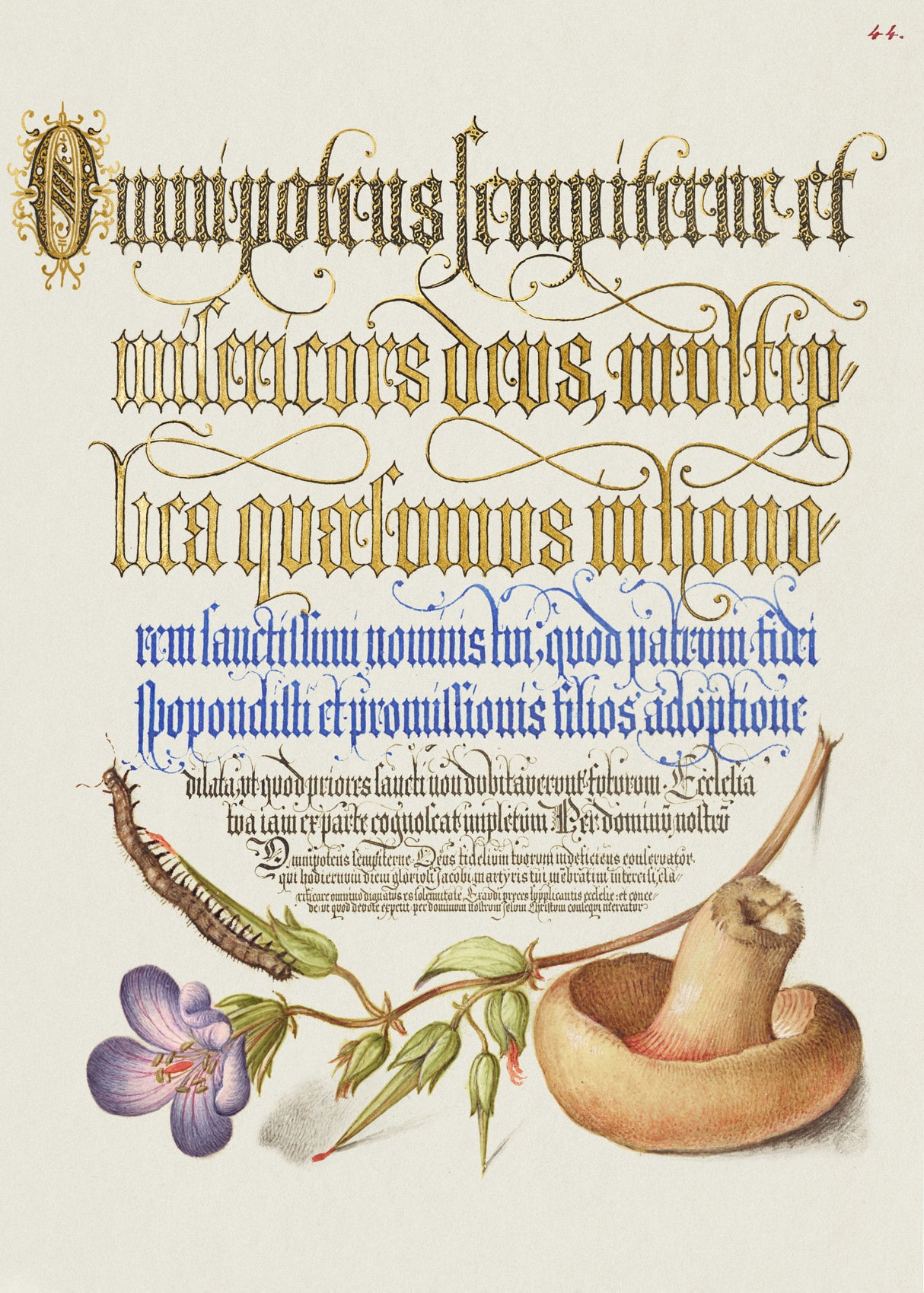 Mushroom Poster Poster och Canvastavla