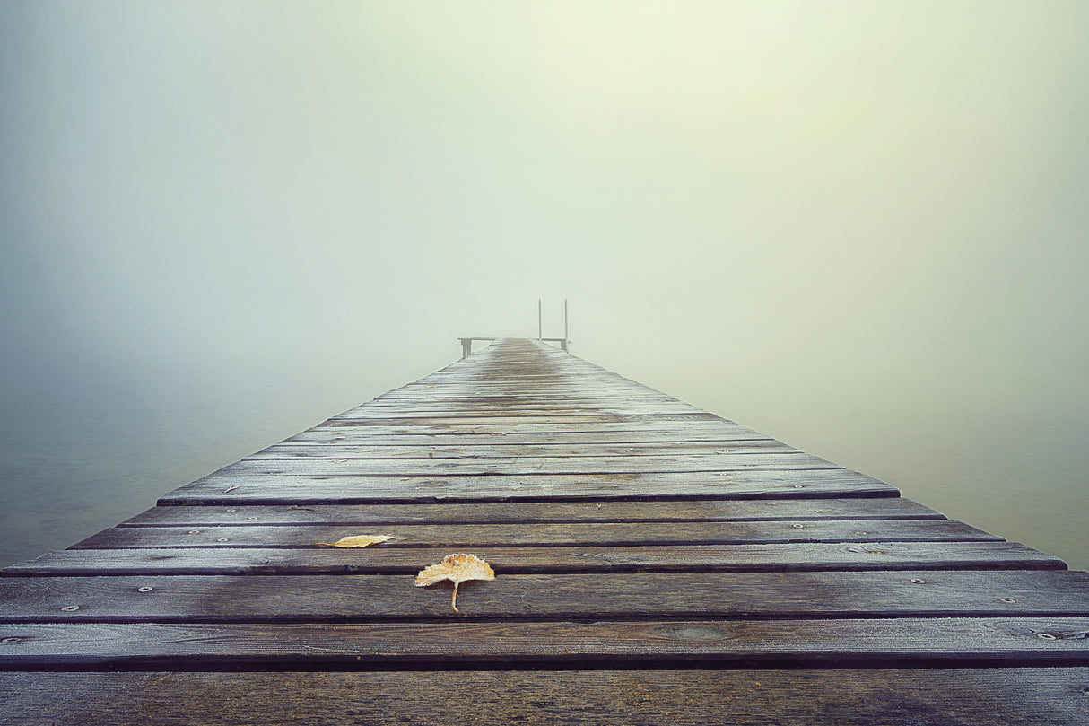 Cold and Misty Morning Poster och Canvastavla