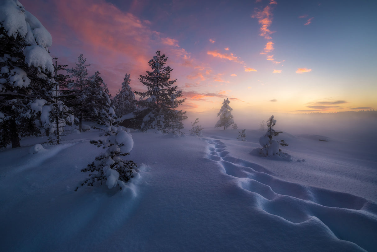 Winter Steps Poster och Canvastavla