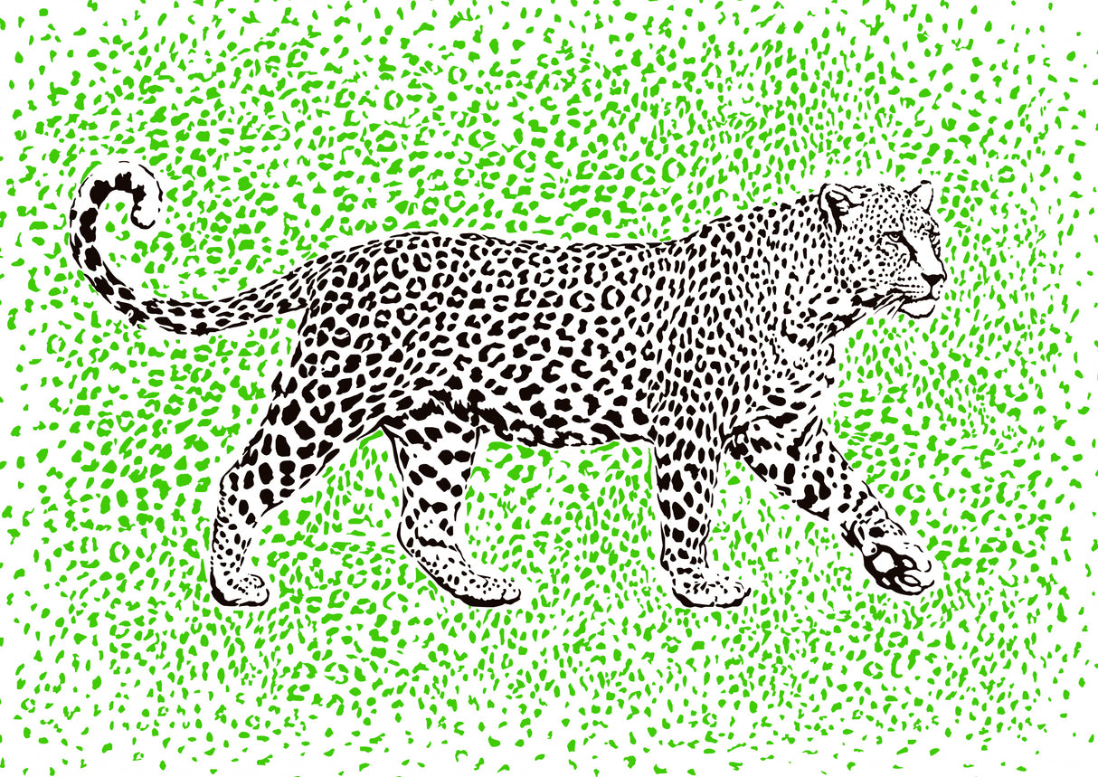 Leopard Rosette camouflage Poster och Canvastavla