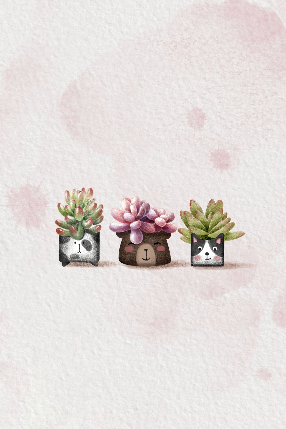 Cute Succulents Poster och Canvastavla
