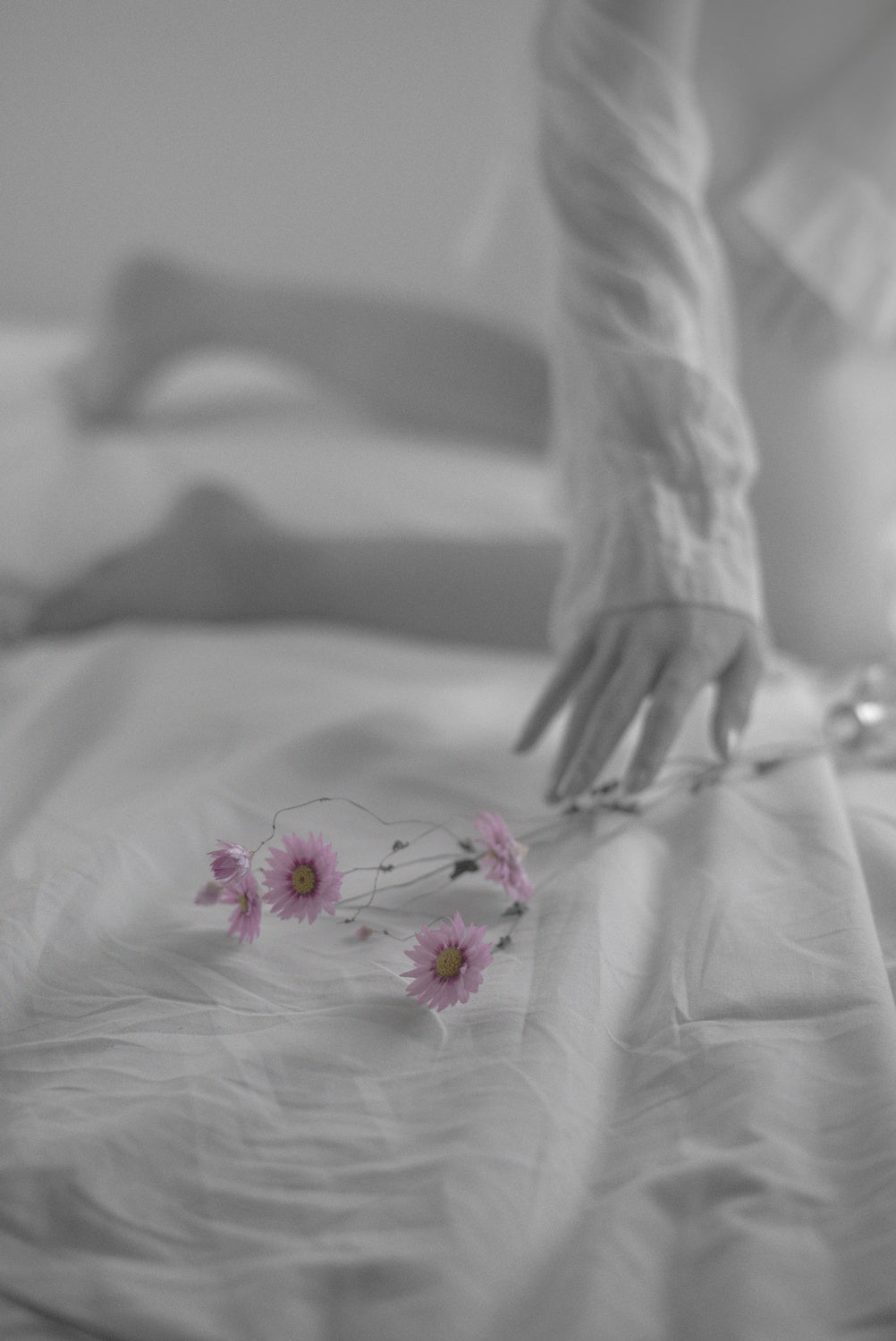 my little flowers Poster och Canvastavla
