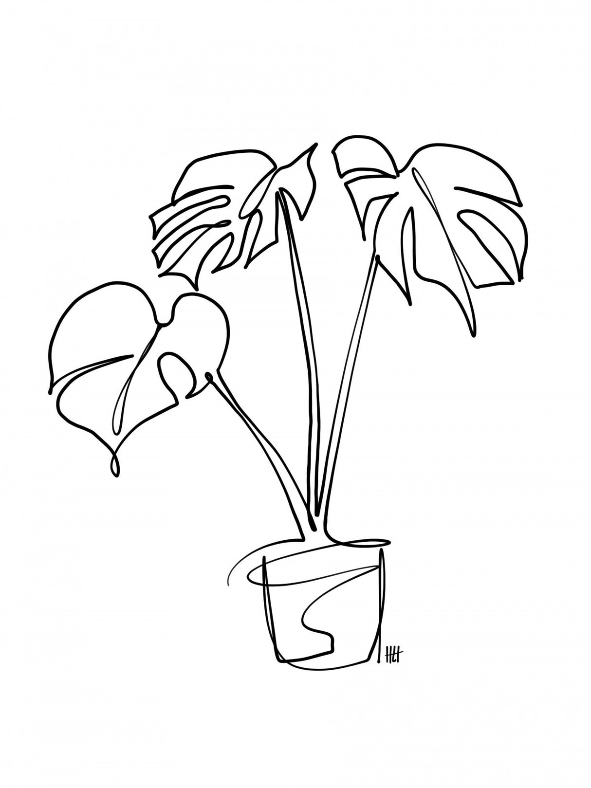House Plant Poster och Canvastavla