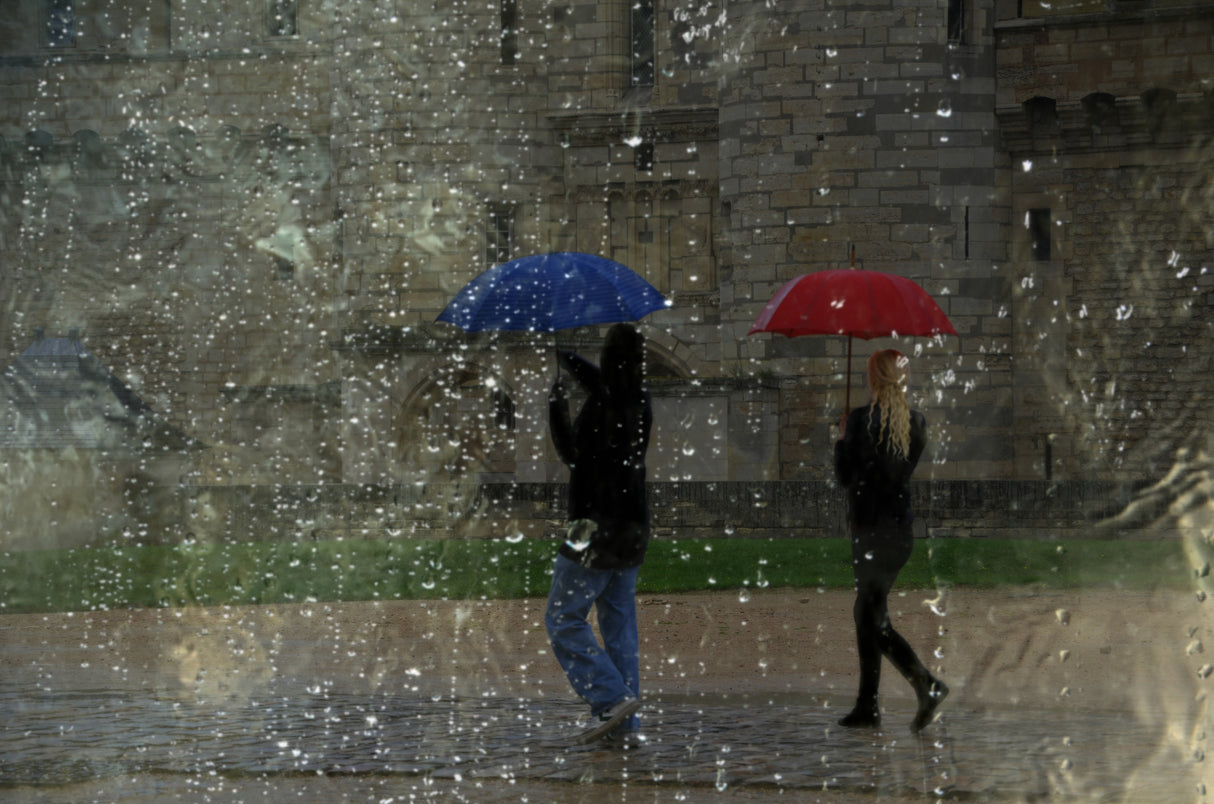 rainy day Poster och Canvastavla