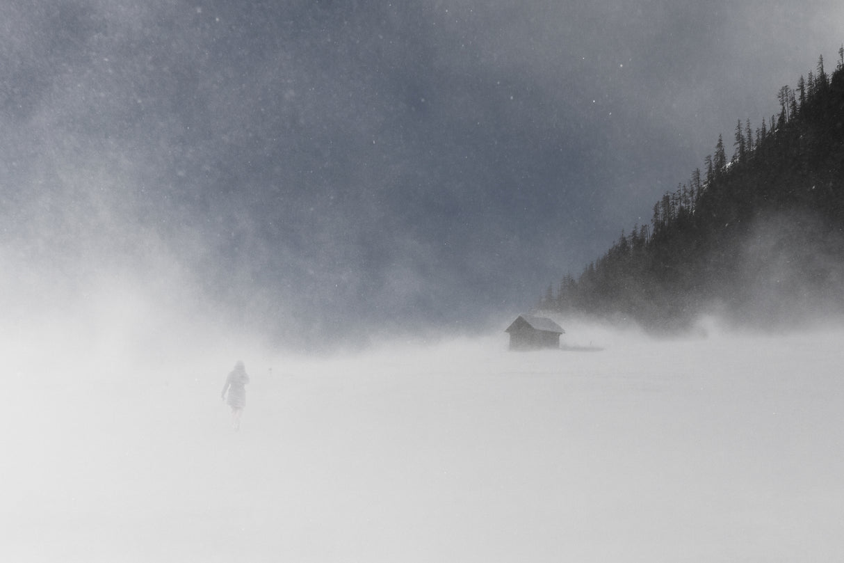 snow storm Poster och Canvastavla