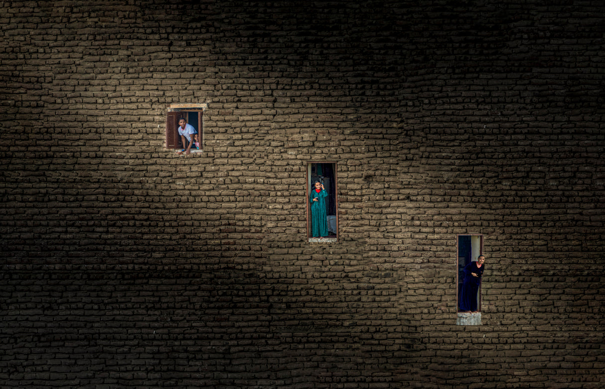 A House by Nile River Poster och Canvastavla
