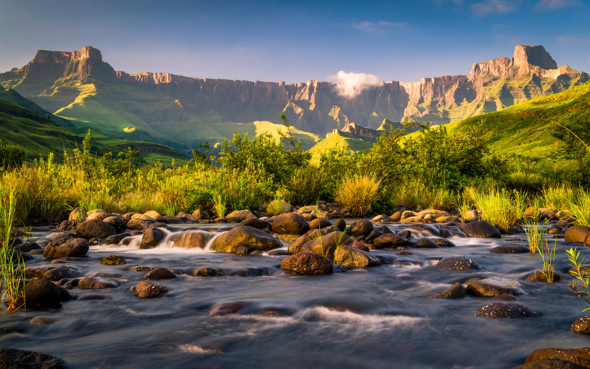 Amphitheater Drakensberg Poster och Canvastavla