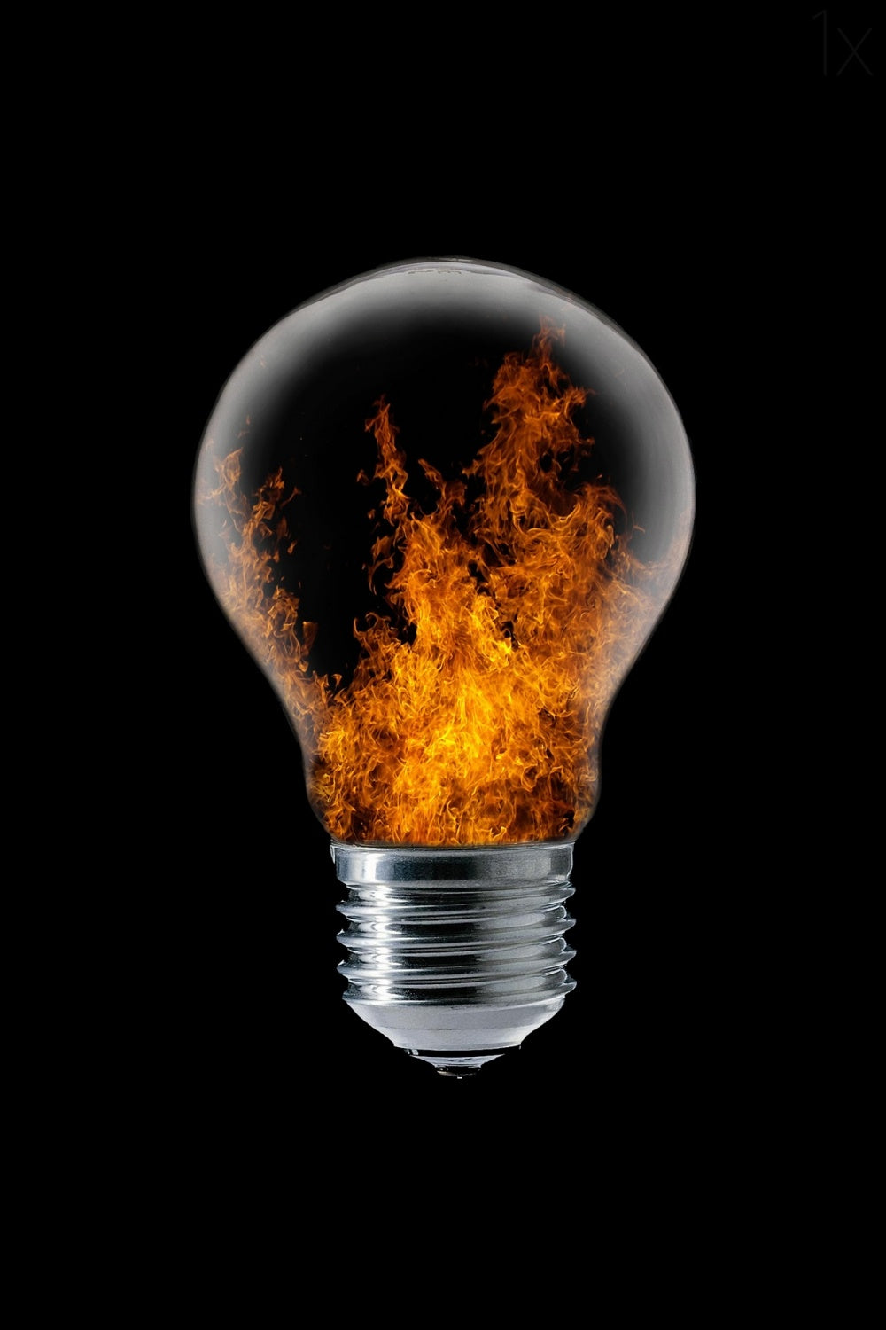 The 4 elements I Poster och Canvastavla