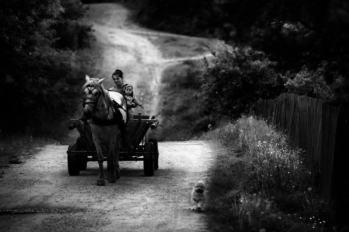 Countryside life Poster och Canvastavla