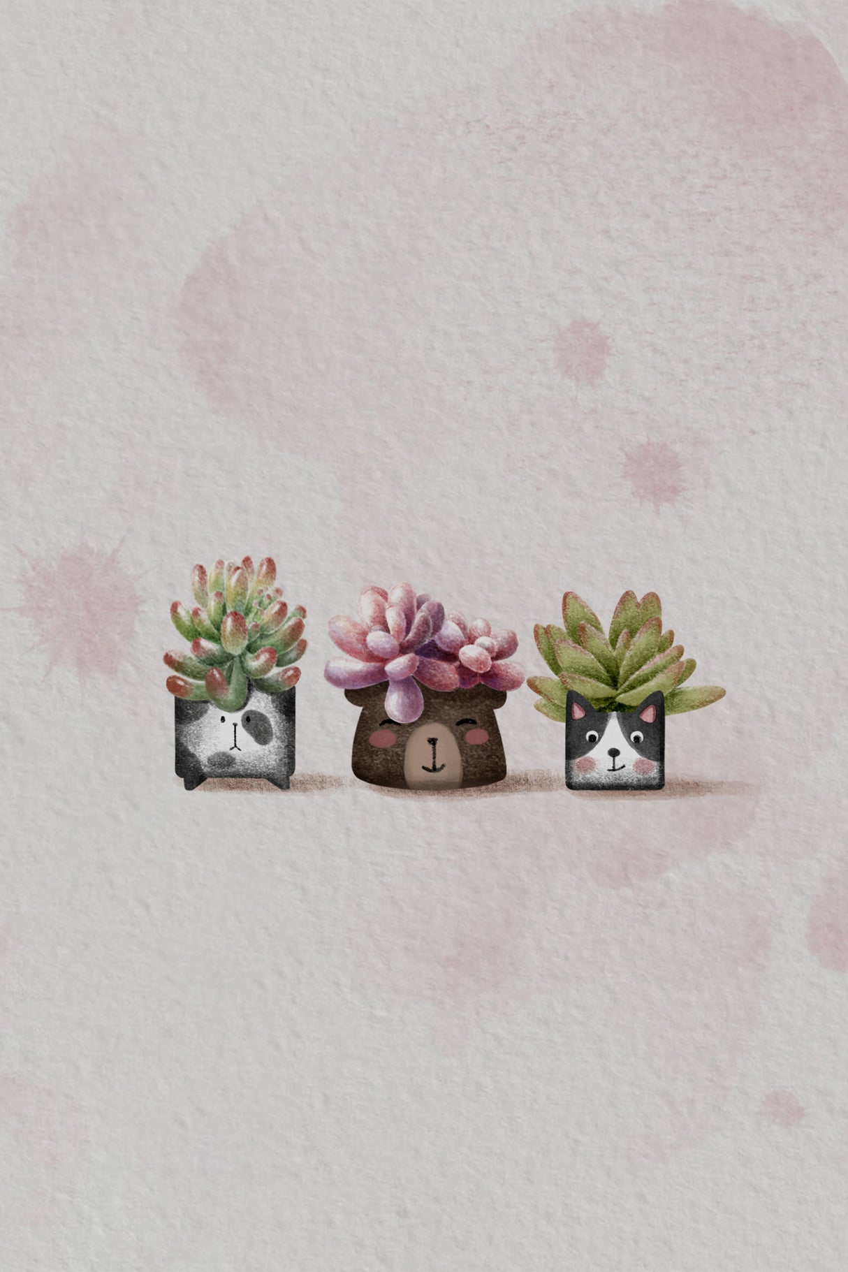 Cute Succulents Poster och Canvastavla