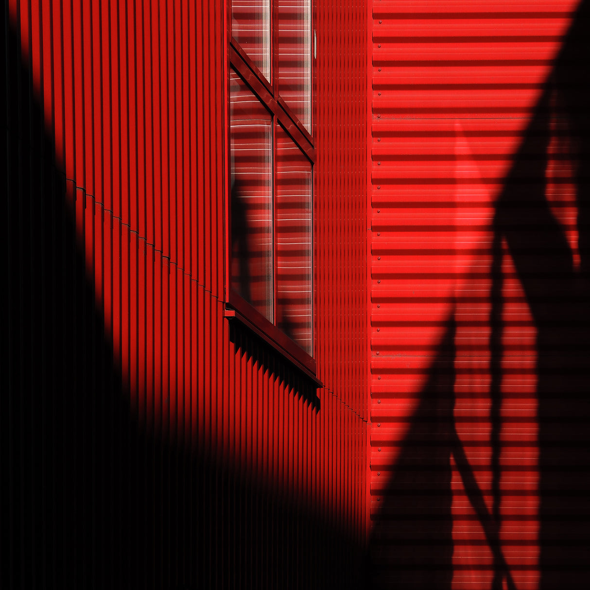 Who is afraid of red? Poster och Canvastavla
