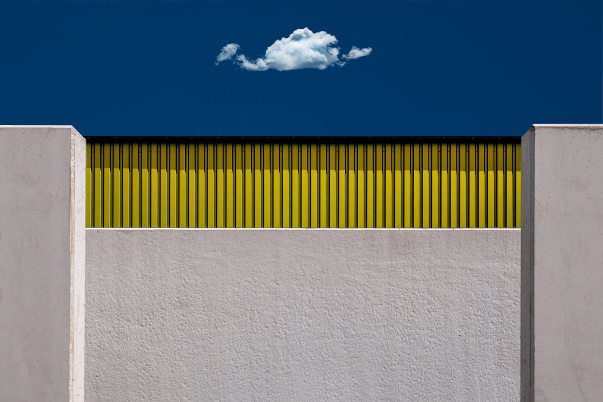 behind the fence Poster och Canvastavla