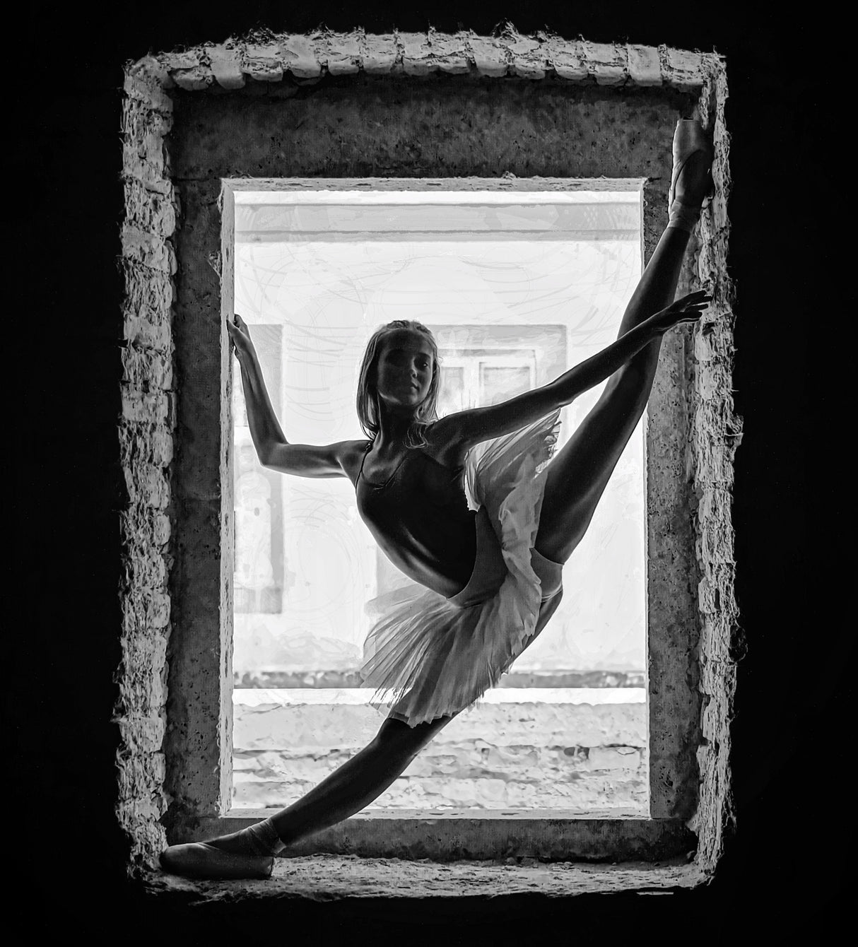 Ballerina Poster och Canvastavla