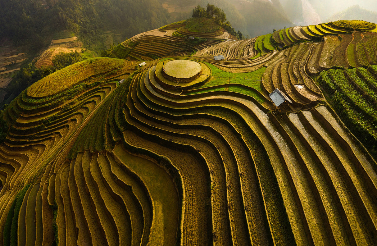 mu cang chai - vietnam Poster och Canvastavla