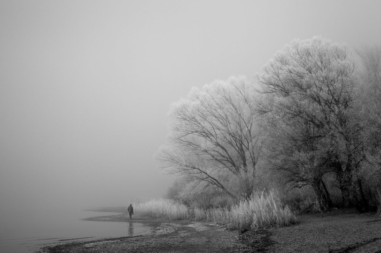 A foggy day at the lake Poster och Canvastavla