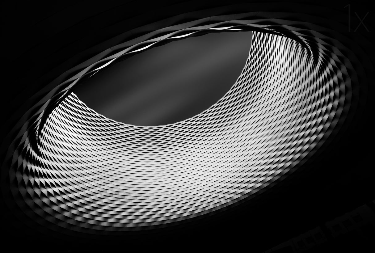 The Ring Poster och Canvastavla