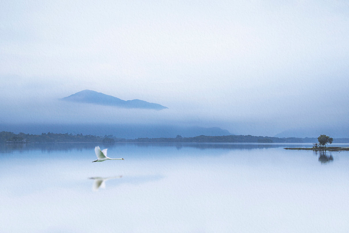 TRANQUILITY Poster och Canvastavla