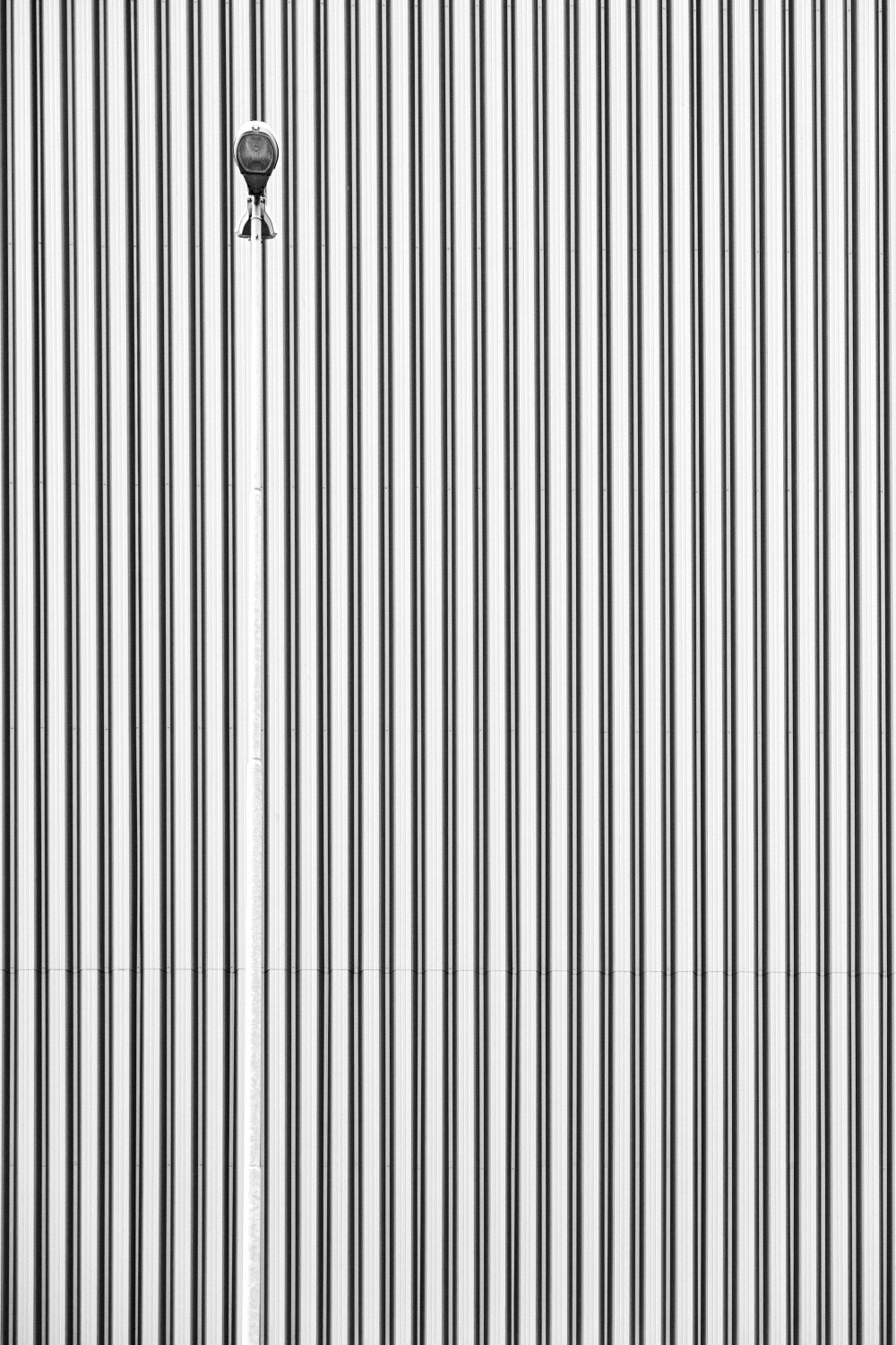 Useless camouflage tests Poster och Canvastavla