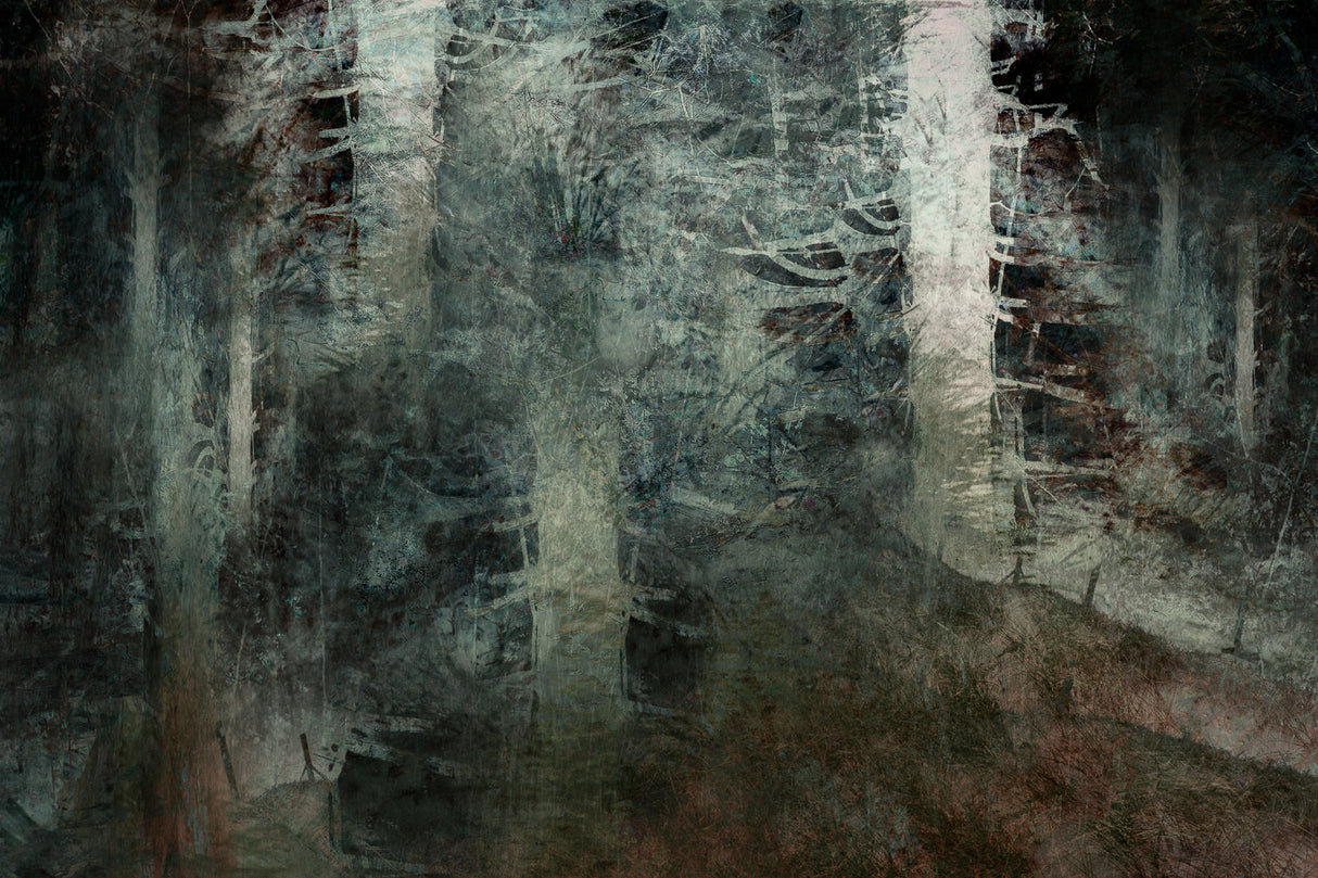 From the hill Poster och Canvastavla