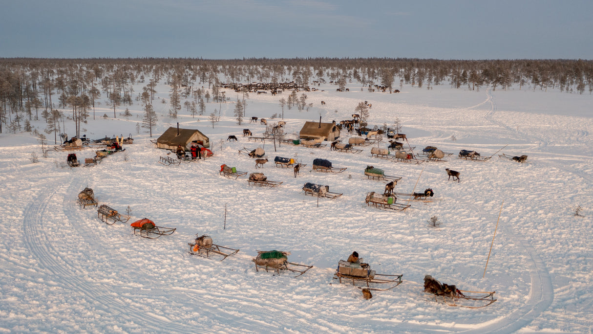 Morning in Nenets camp Poster och Canvastavla