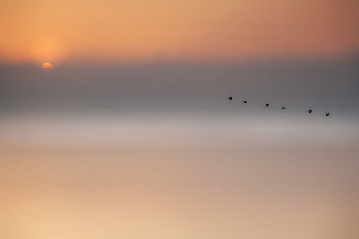 precious memories Poster och Canvastavla