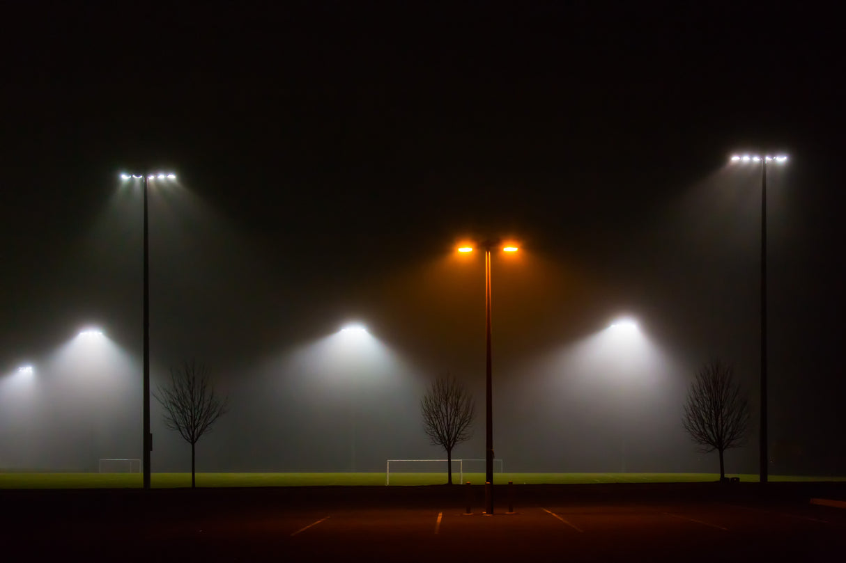 Night Time Poster och Canvastavla