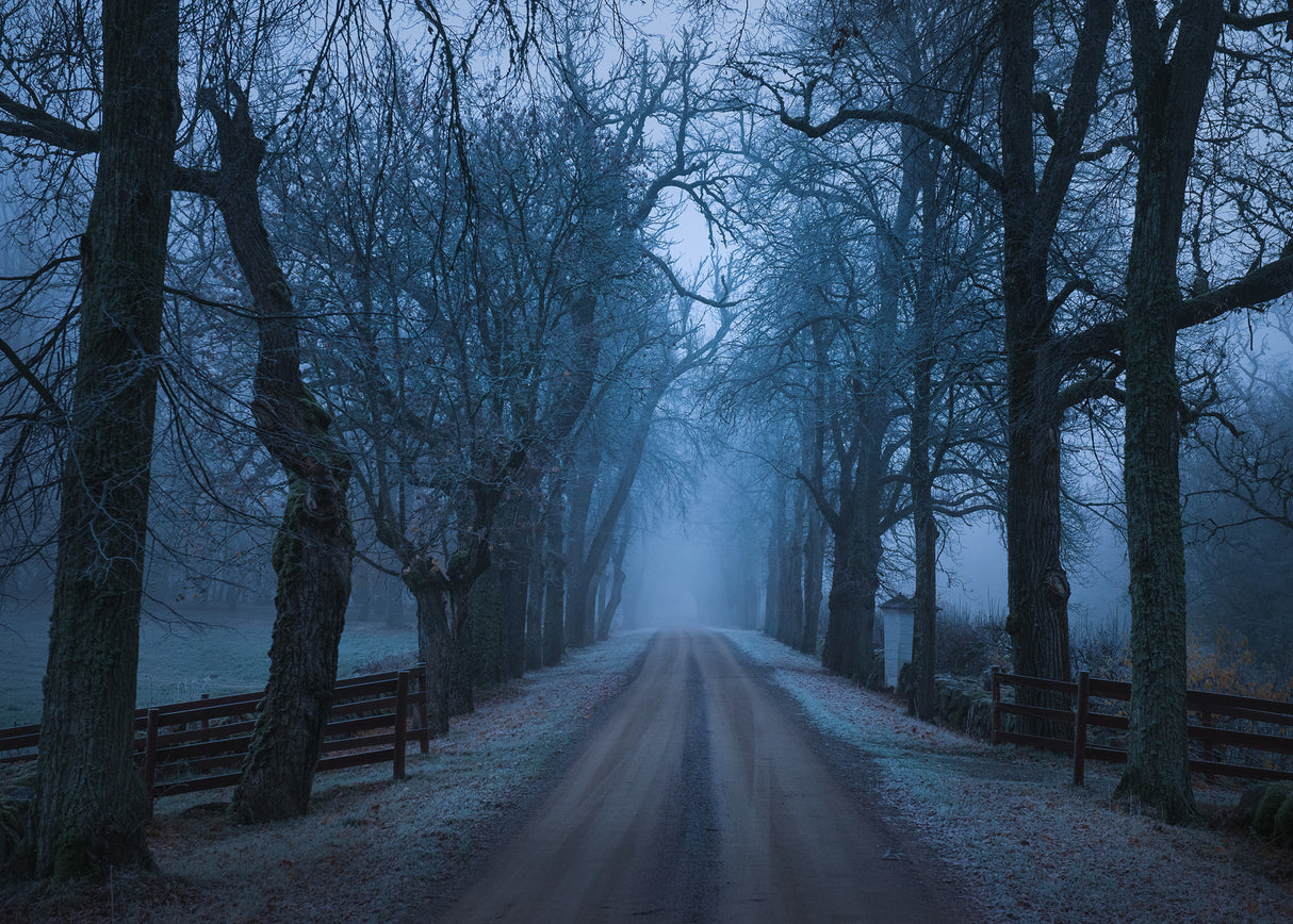 Sleepy hollow Poster och Canvastavla