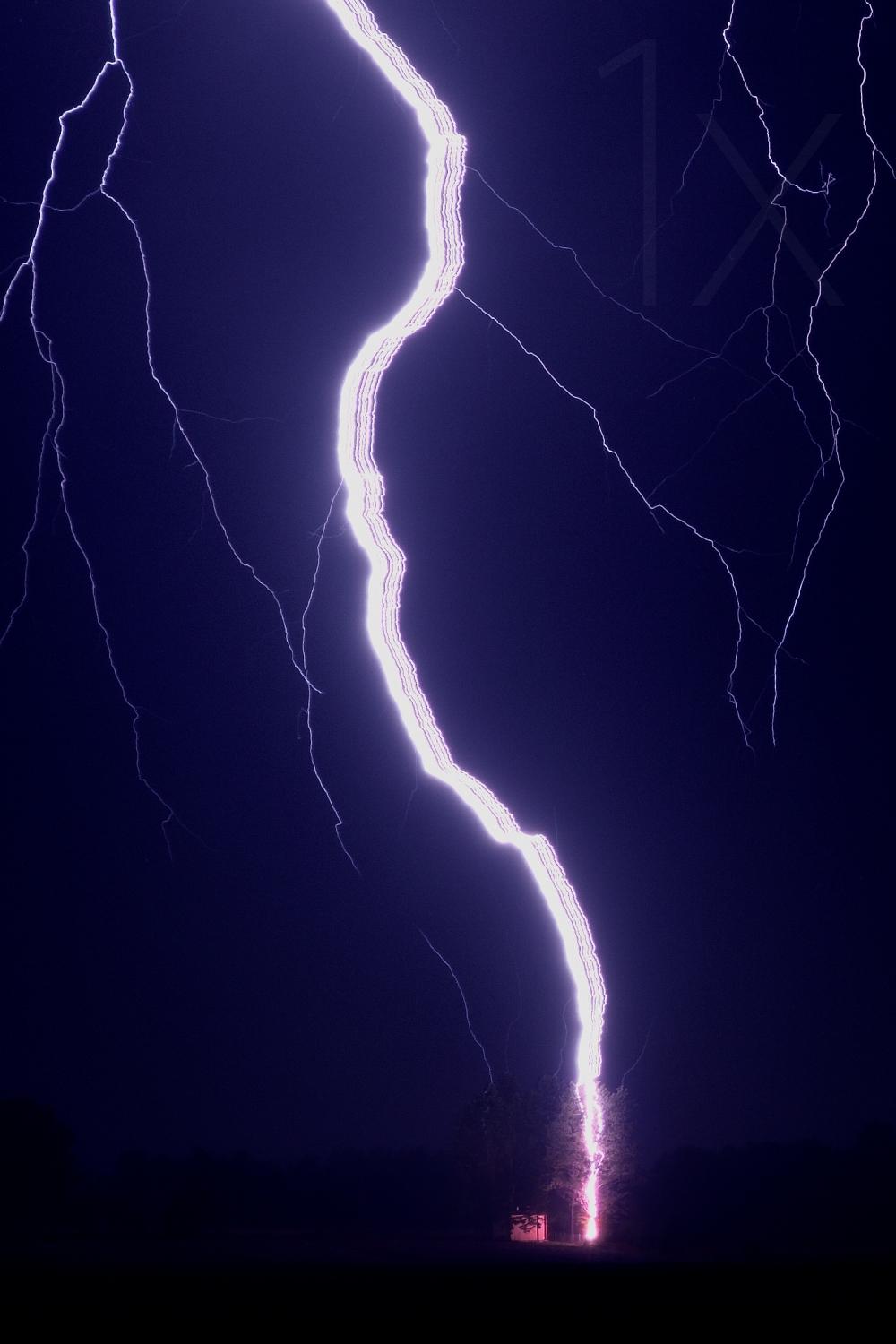 Ribbon lightning hits a tree Poster och Canvastavla