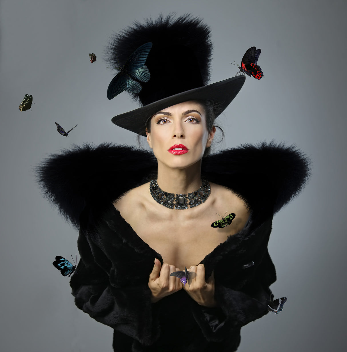 Lady Butterfly IV Poster och Canvastavla