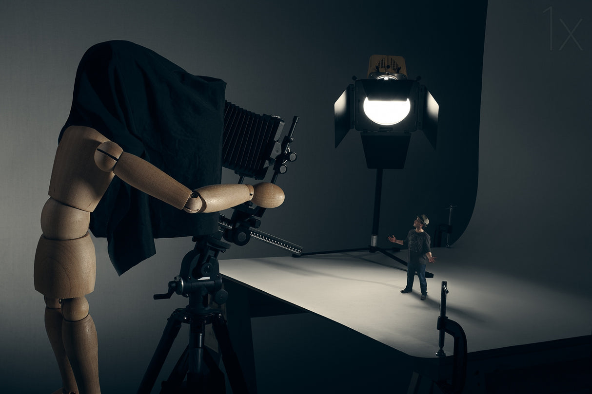 The Studio Portrait Poster och Canvastavla
