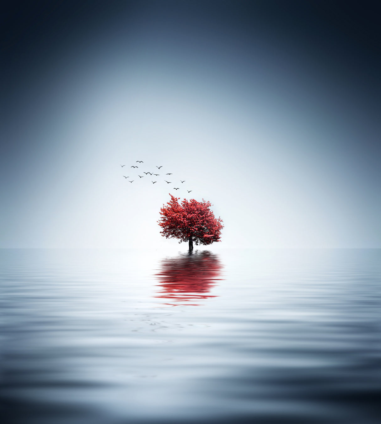 Autumn trees reflected blue lake Poster och Canvastavla