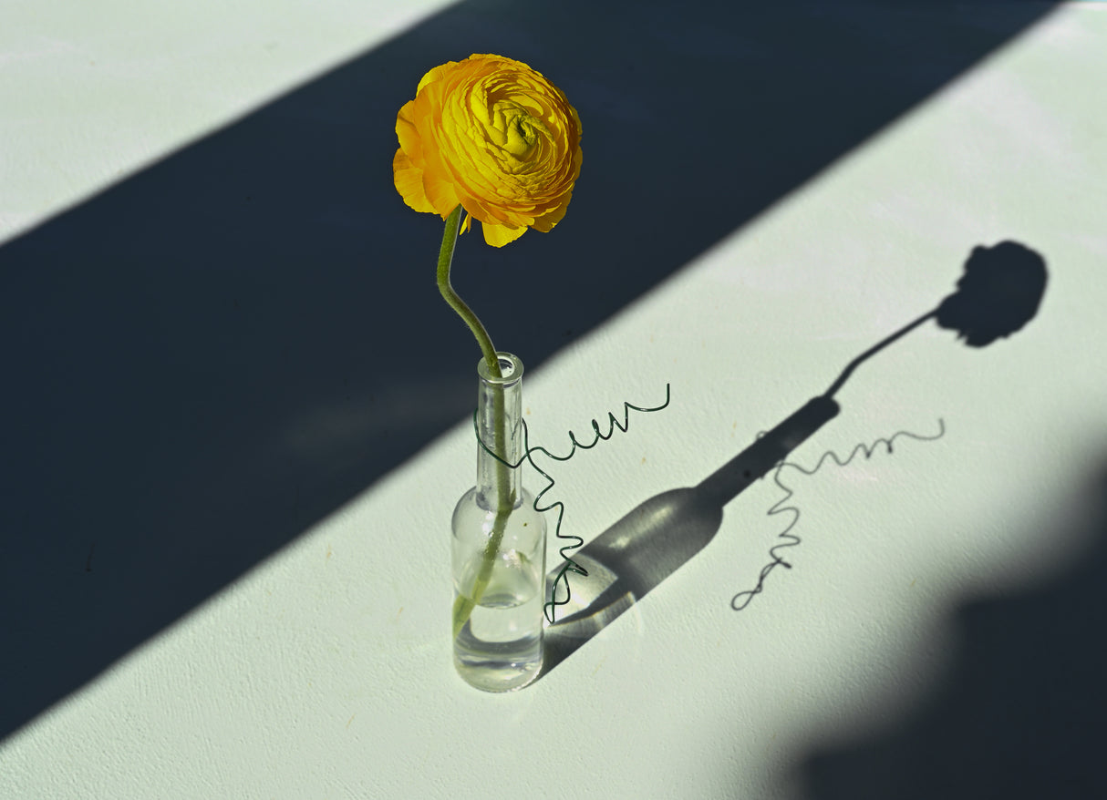 Light & Shadow Poster och Canvastavla